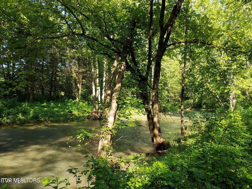 Photo #54: 779 Pawpaw Road
