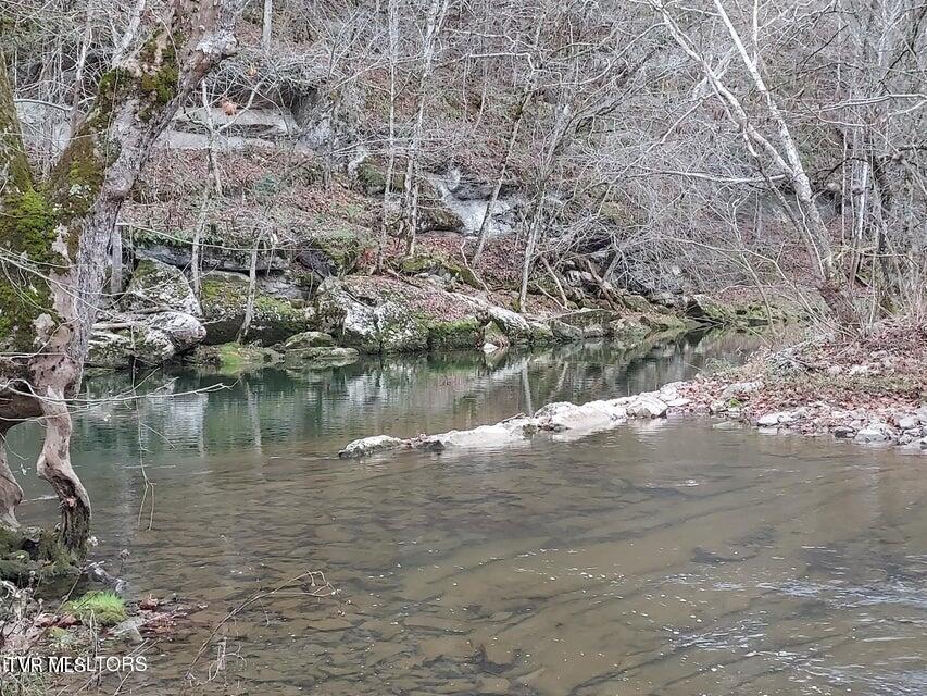 Photo #56: 779 Pawpaw Road