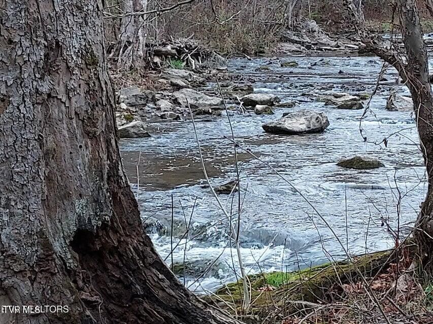 Photo #57: 779 Pawpaw Road