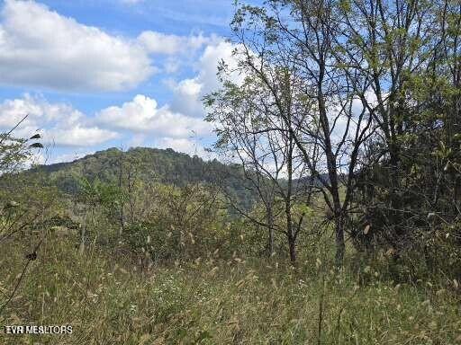Photo #60: 779 Pawpaw Road