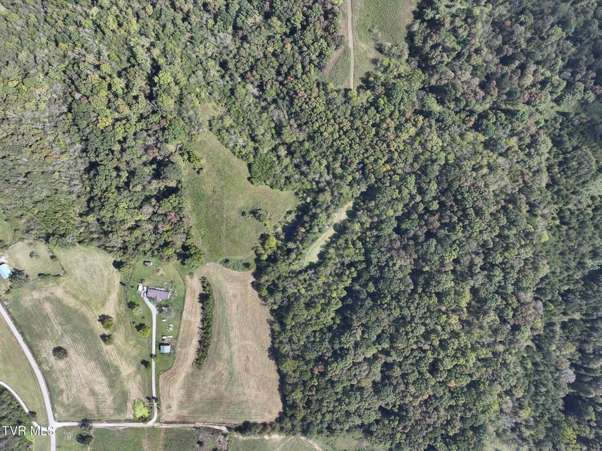 Photo #5: Tbd Charlie Doty 37.33 Acres Road