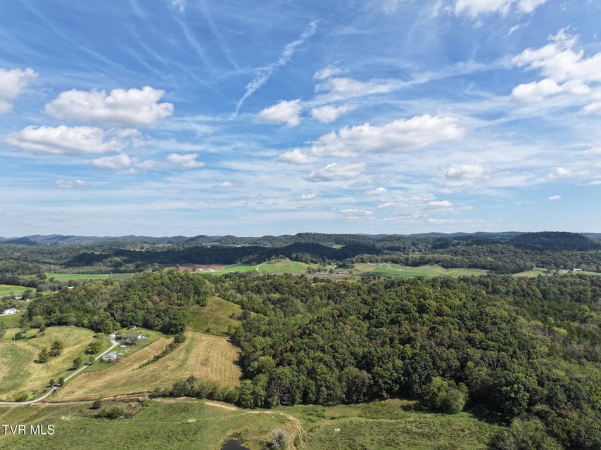 Photo #6: Tbd Charlie Doty 37.33 Acres Road