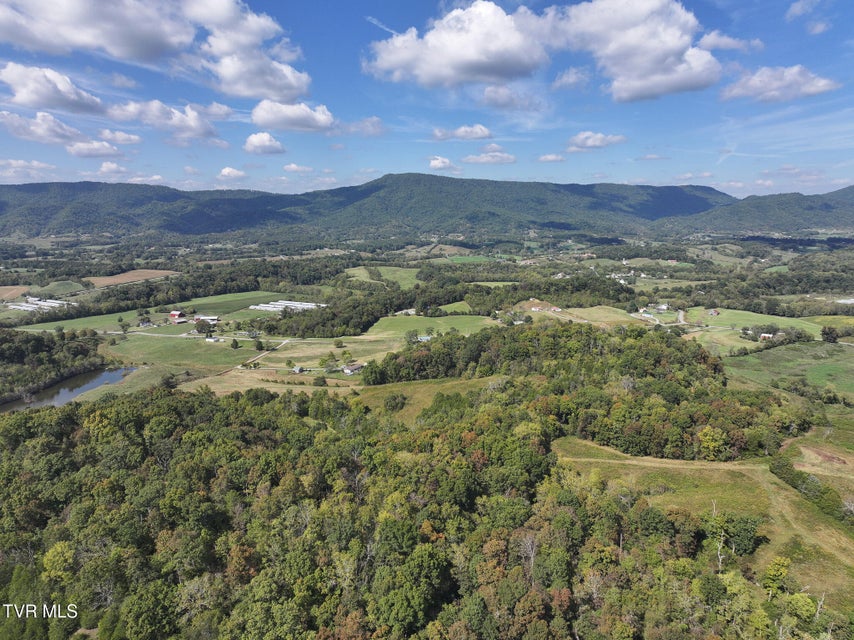 Photo #7: Tbd Charlie Doty 37.33 Acres Road