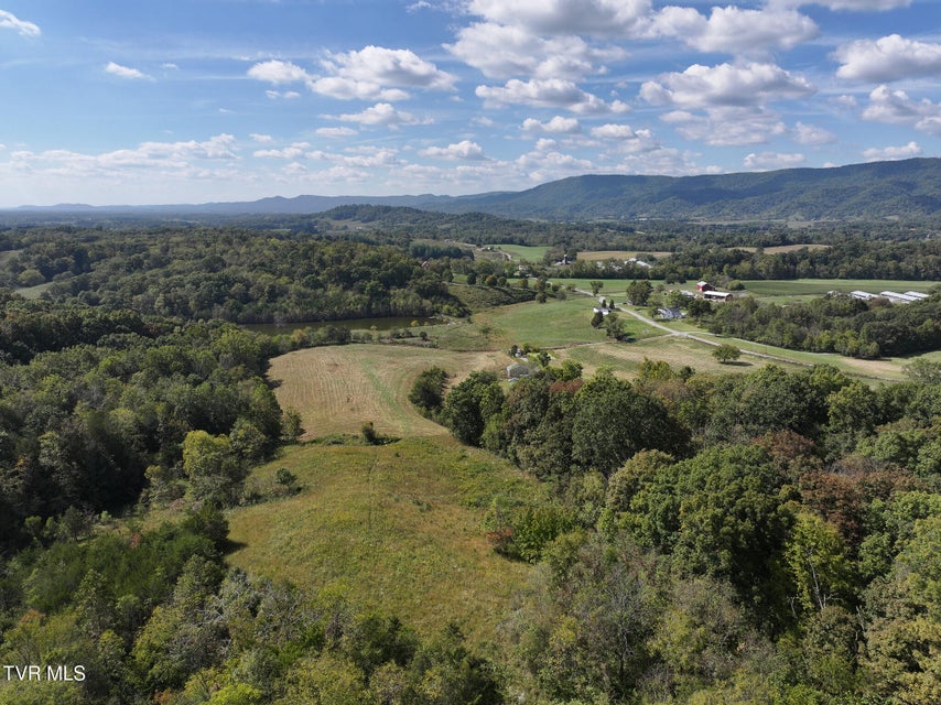 Photo #8: Tbd Charlie Doty 37.33 Acres Road