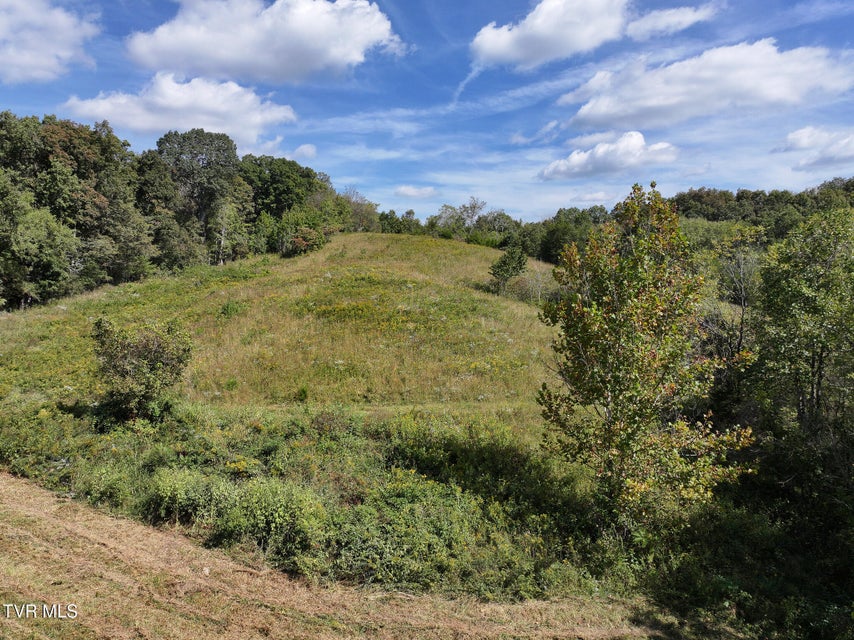 Photo #12: Tbd Charlie Doty 37.33 Acres Road