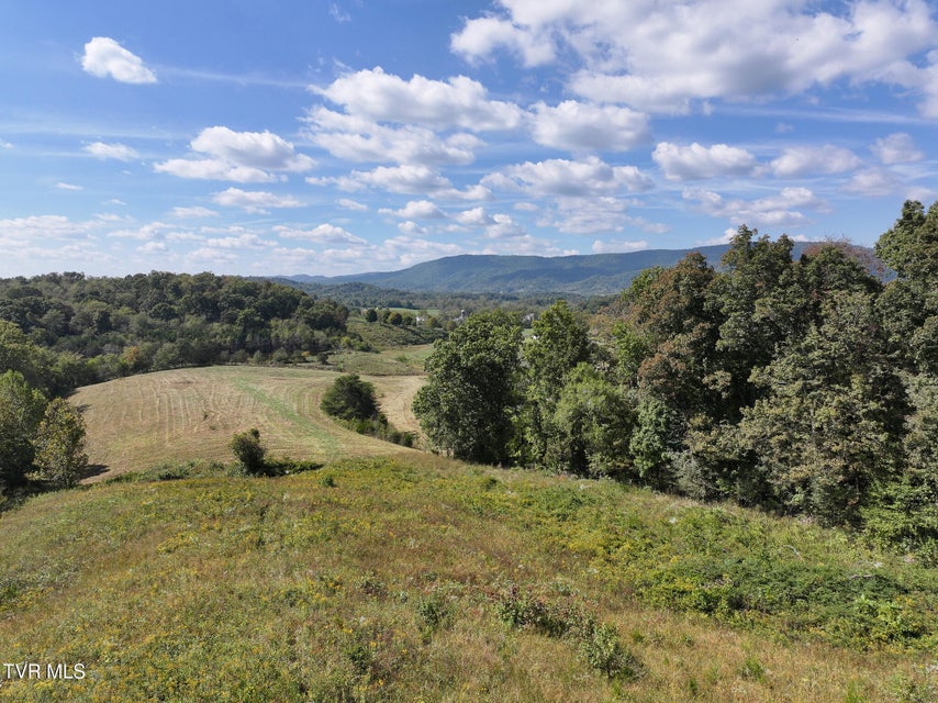 Photo #13: Tbd Charlie Doty 37.33 Acres Road