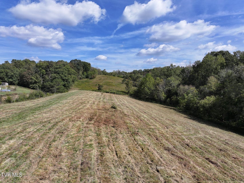 Photo #16: Tbd Charlie Doty 37.33 Acres Road