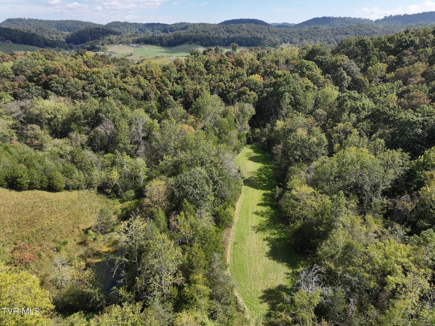 Photo #17: Tbd Charlie Doty 37.33 Acres Road