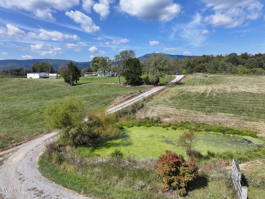 Photo #18: Tbd Charlie Doty 37.33 Acres Road