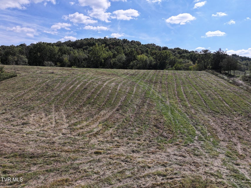 Photo #19: Tbd Charlie Doty 37.33 Acres Road