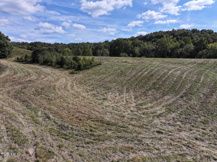 Photo #20: Tbd Charlie Doty 37.33 Acres Road
