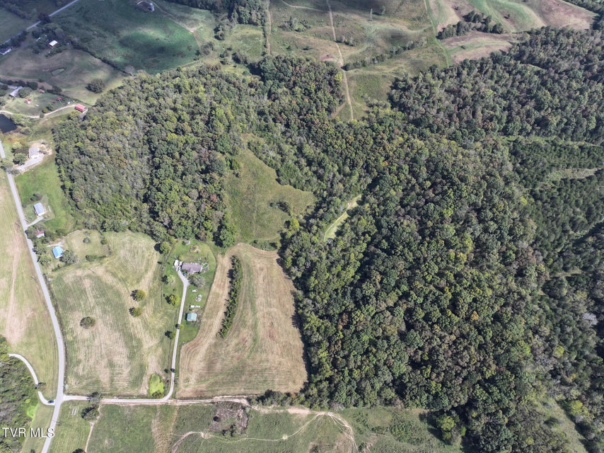 Photo #21: Tbd Charlie Doty 37.33 Acres Road