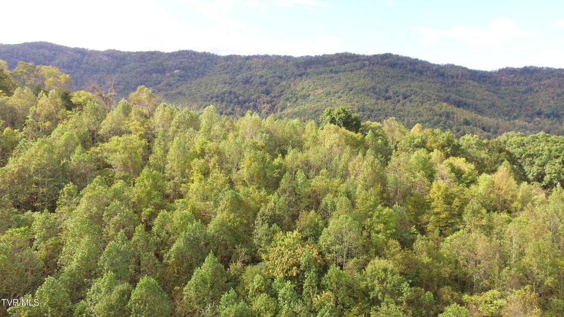 Photo #7: 1505 Williams Hollow Road