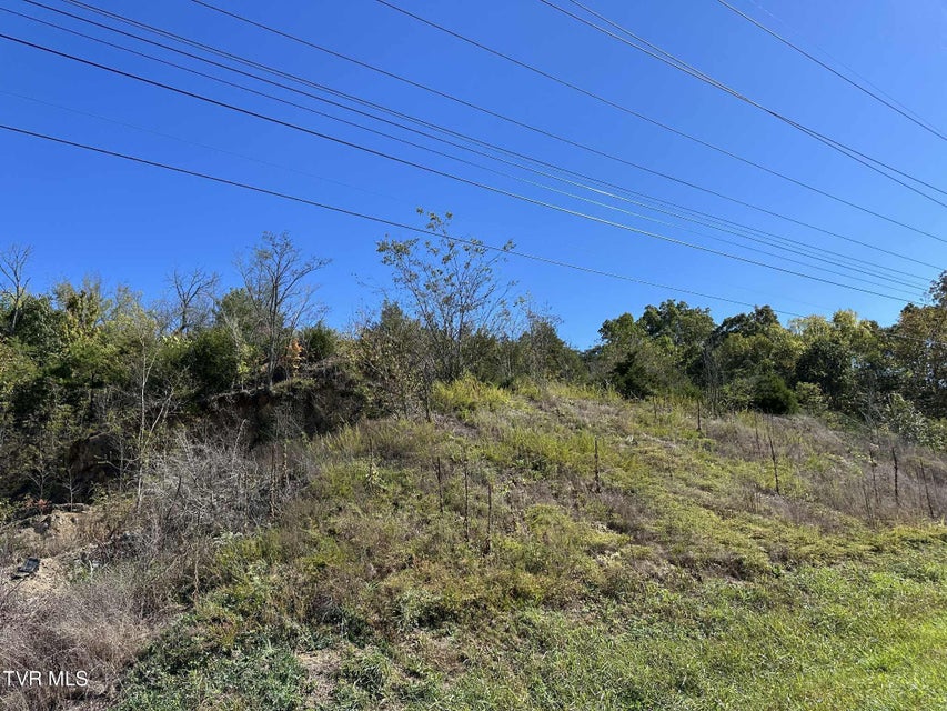 Photo #2: Tbd Andrew Johnson Highway