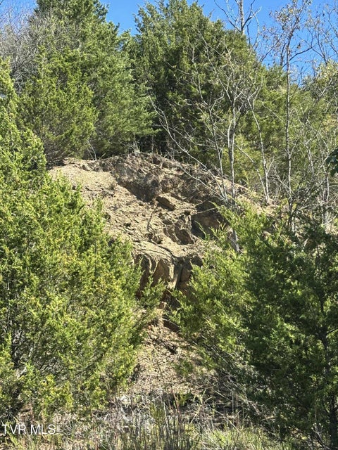 Photo #6: Tbd Andrew Johnson Highway