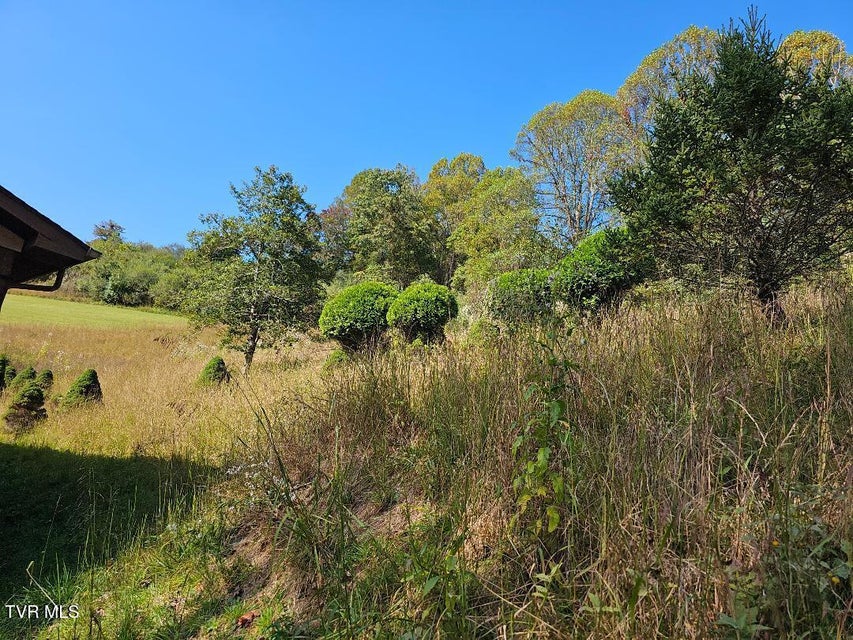 Photo #5: 2056 Honey Camp Road