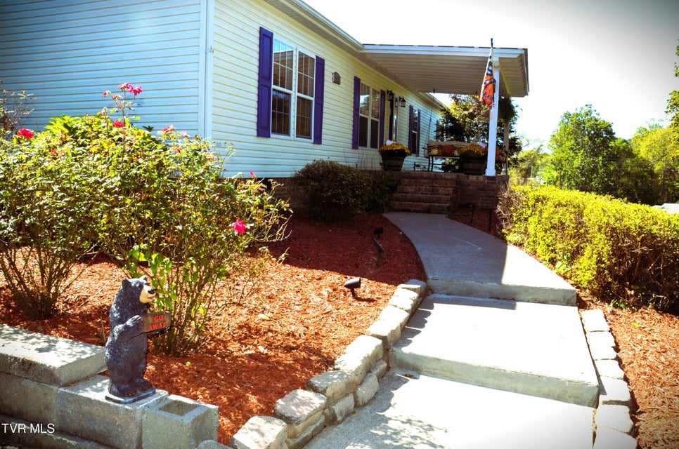 Photo #20: 231 Pine Street