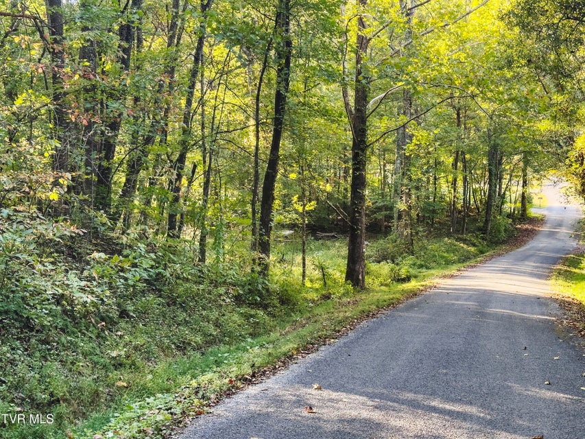 Photo #7: Lot 1 Old Post Road