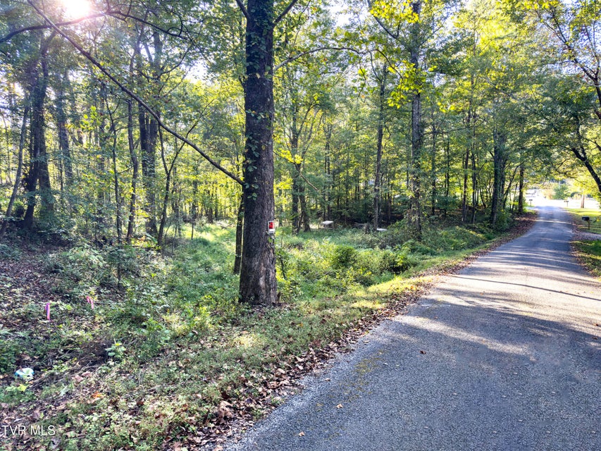 Photo #8: Lot 1 Old Post Road
