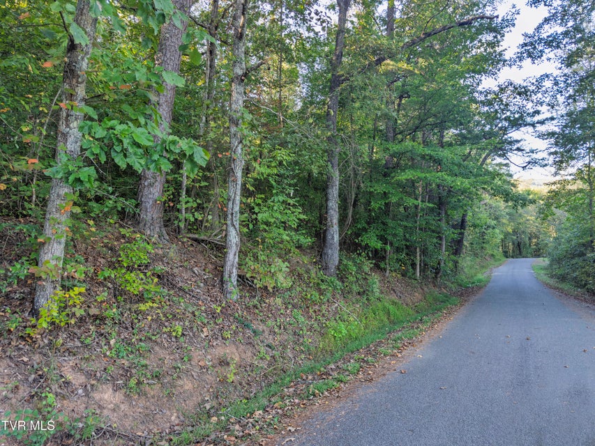 Photo #6: Lot 3 Old Post Road