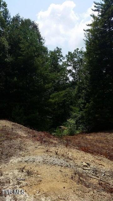 Photo #17: Tbd Heartwood Lane
