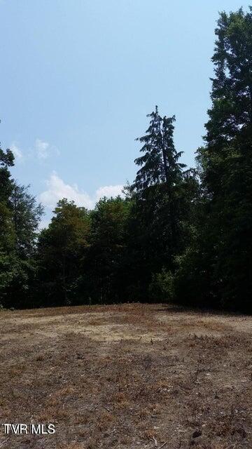 Photo #18: Tbd Heartwood Lane