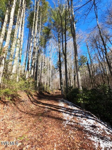 Photo #27: Tbd Heartwood Lane