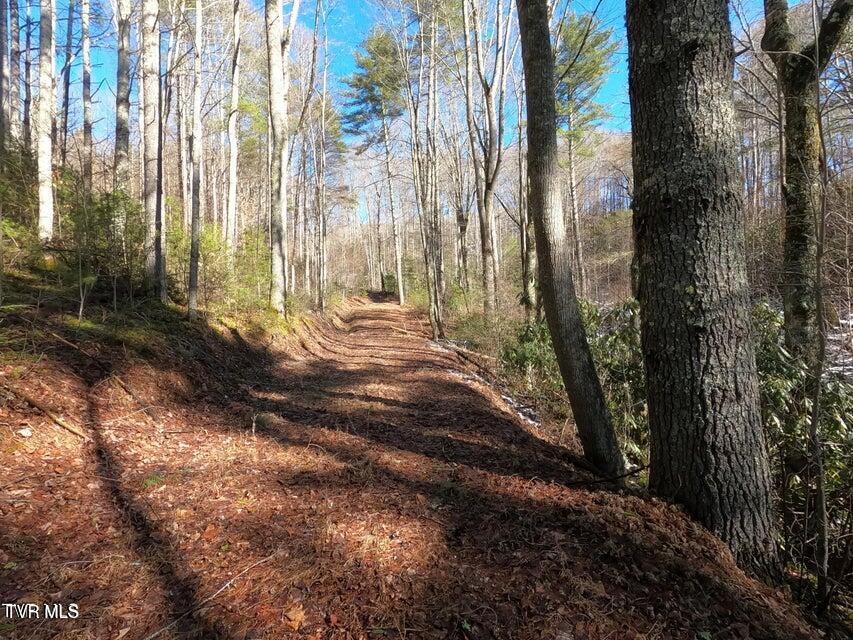 Photo #28: Tbd Heartwood Lane