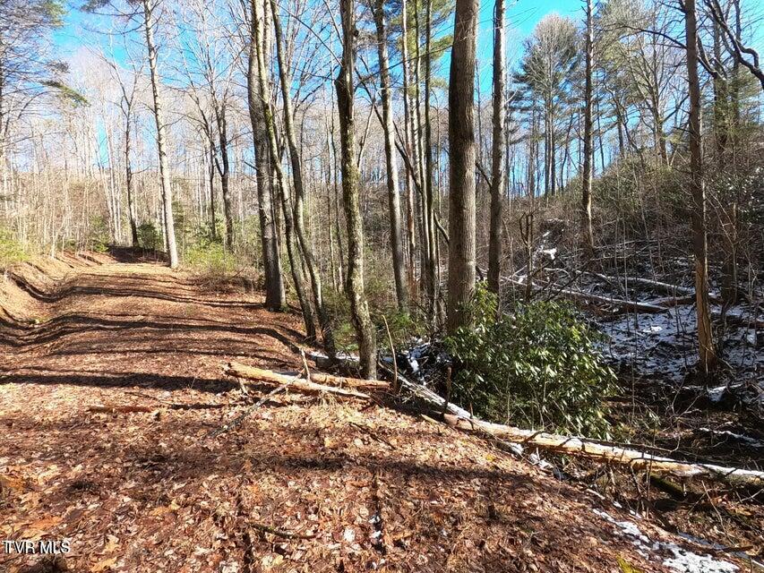 Photo #29: Tbd Heartwood Lane