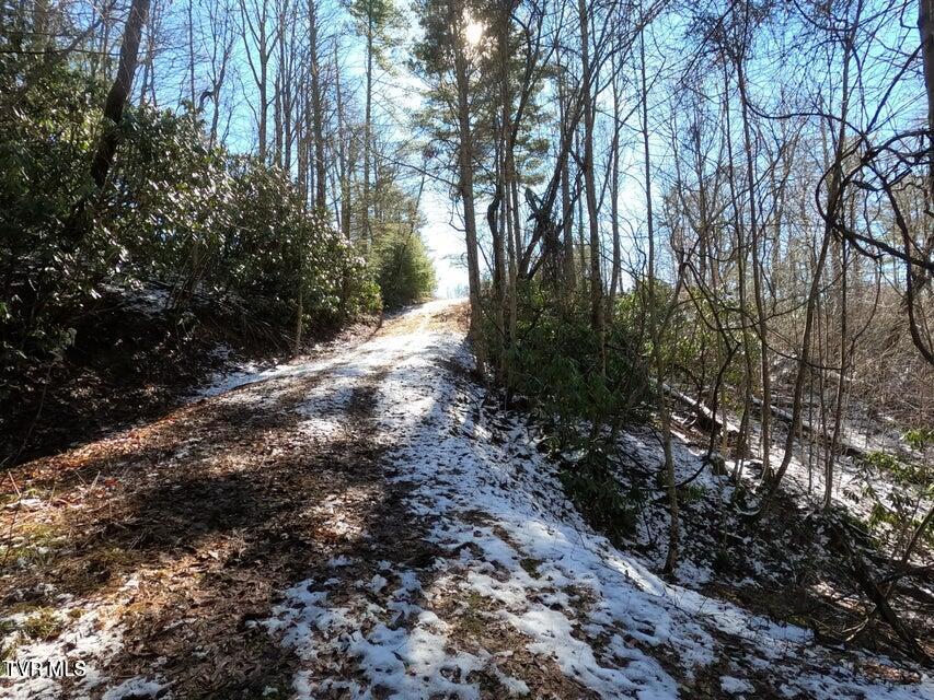 Photo #31: Tbd Heartwood Lane