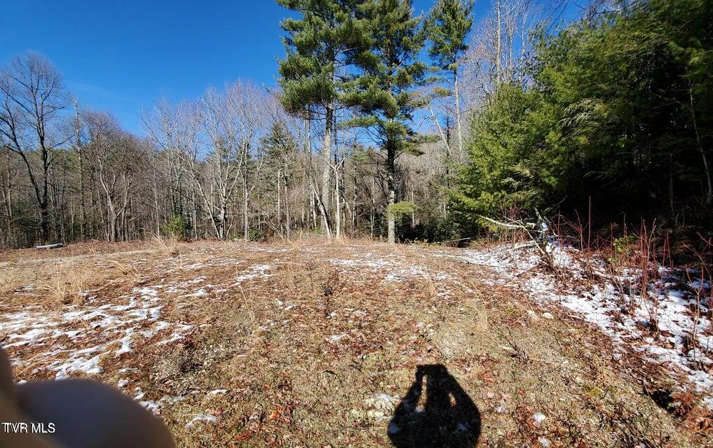 Photo #38: Tbd Heartwood Lane