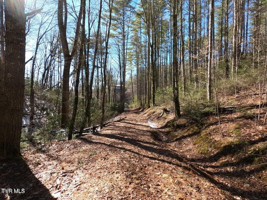 Photo #43: Tbd Heartwood Lane