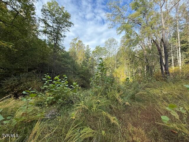 Photo #3: 189 Tilson Road