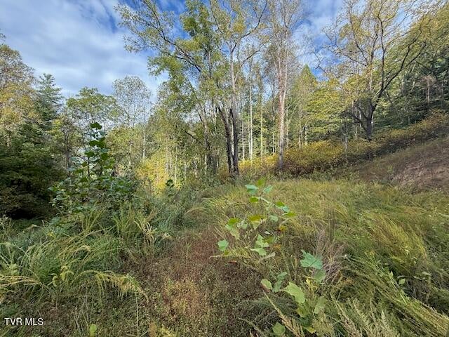 Photo #4: 189 Tilson Road