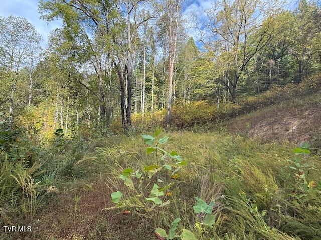 Photo #5: 189 Tilson Road