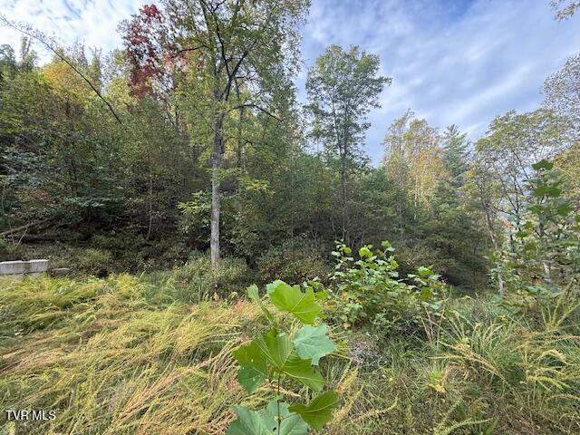 Photo #6: 189 Tilson Road