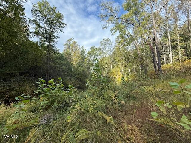 Photo #7: 189 Tilson Road
