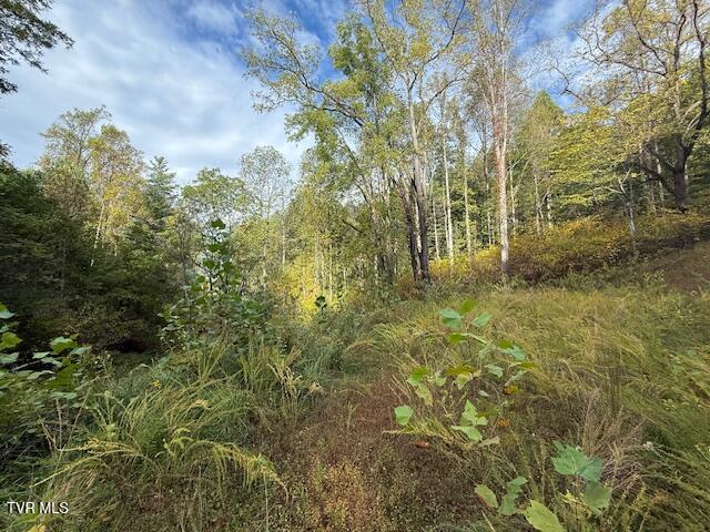 Photo #8: 189 Tilson Road