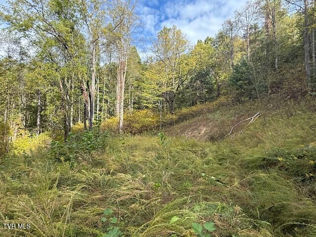 Photo #10: 189 Tilson Road