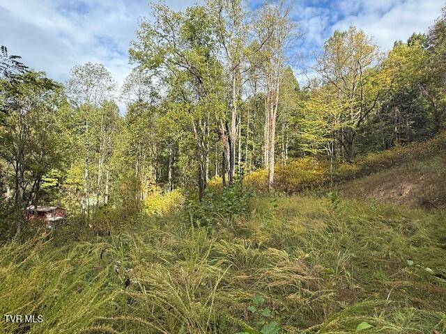 Photo #11: 189 Tilson Road