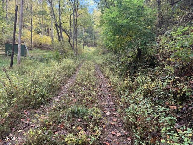 Photo #12: 189 Tilson Road