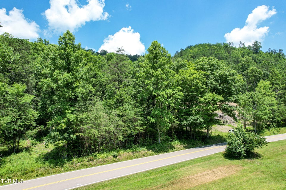 Photo #6: Tbd Pressmens Home Road