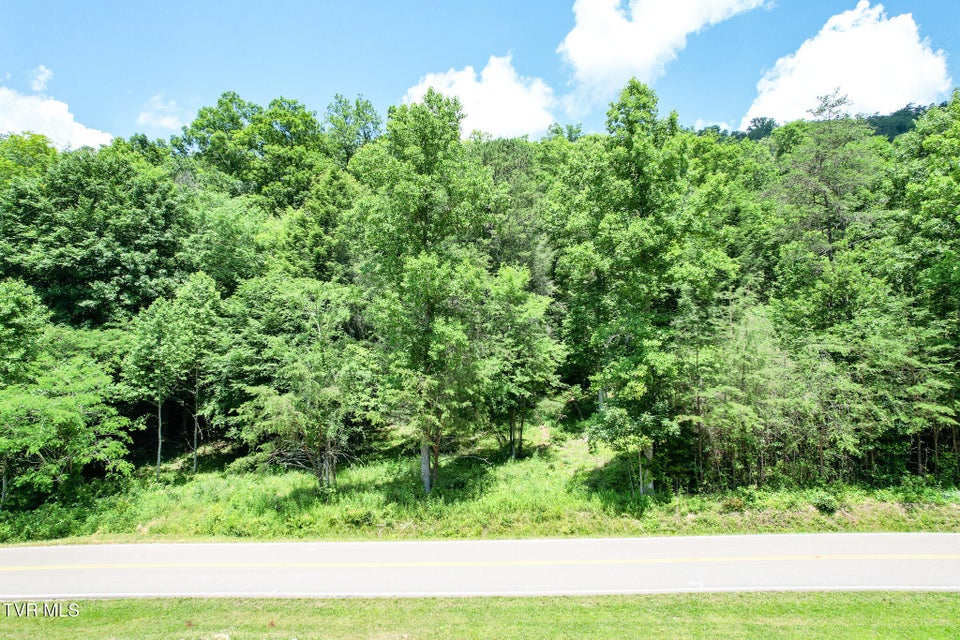 Photo #7: Tbd Pressmens Home Road