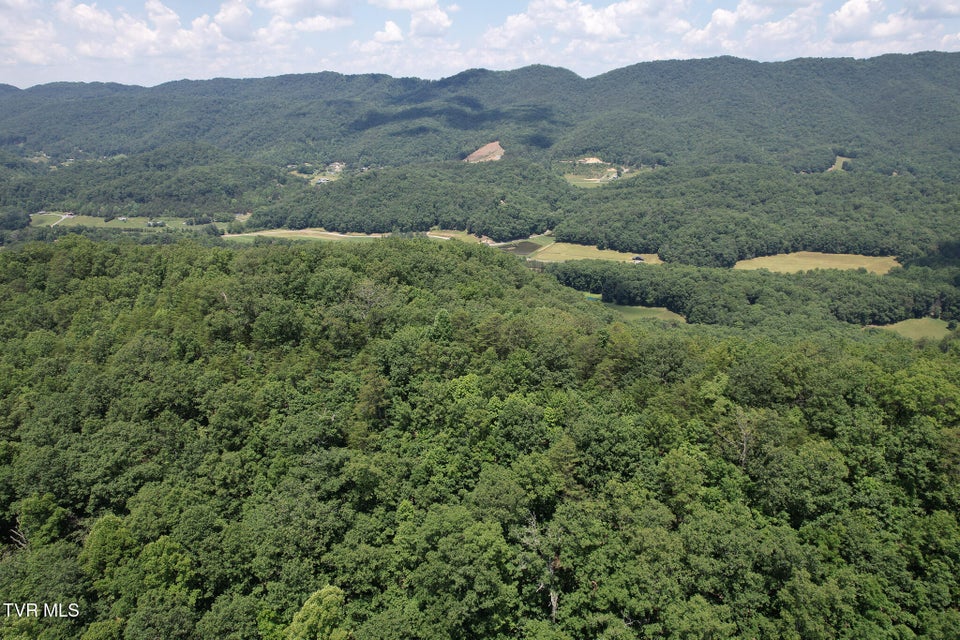 Photo #16: Tbd Pressmens Home Road