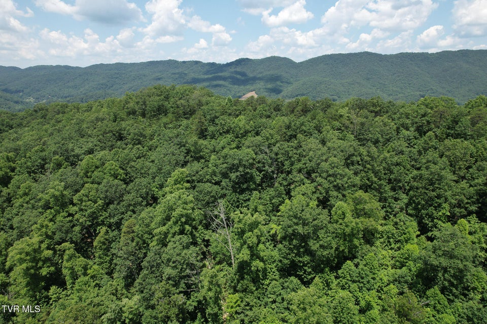 Photo #17: Tbd Pressmens Home Road