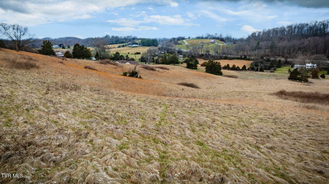 Photo #2: Tbd Sand Valley Road