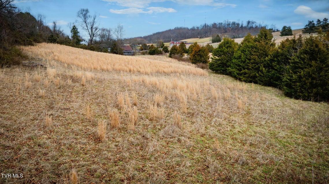 Photo #14: Tbd Sand Valley Road