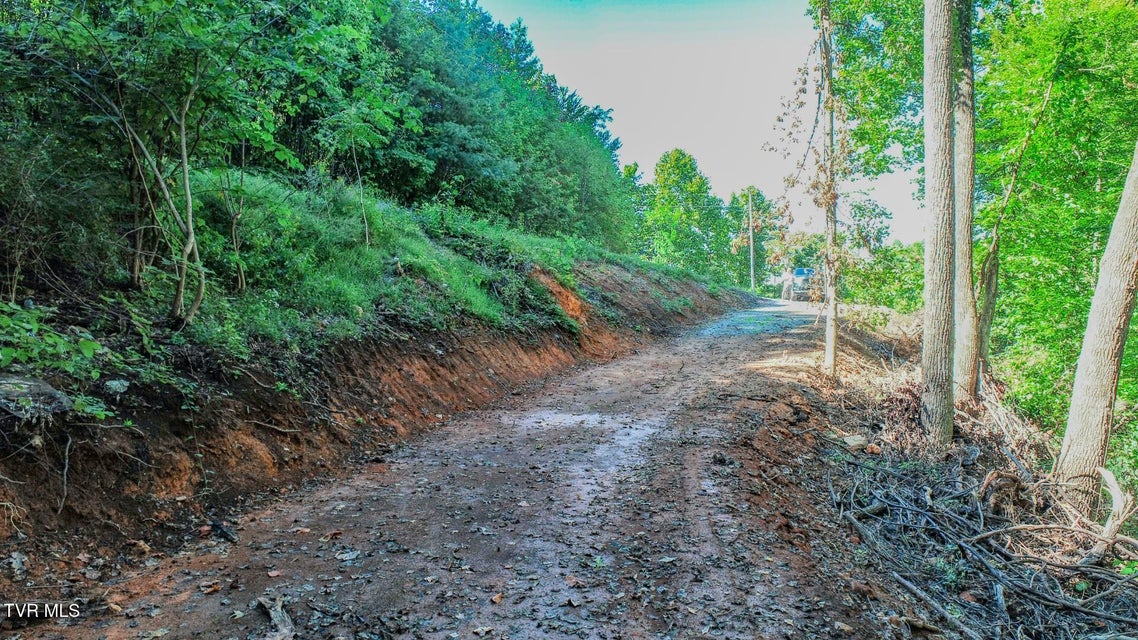 Photo #9: 1272 Applewood Dr 