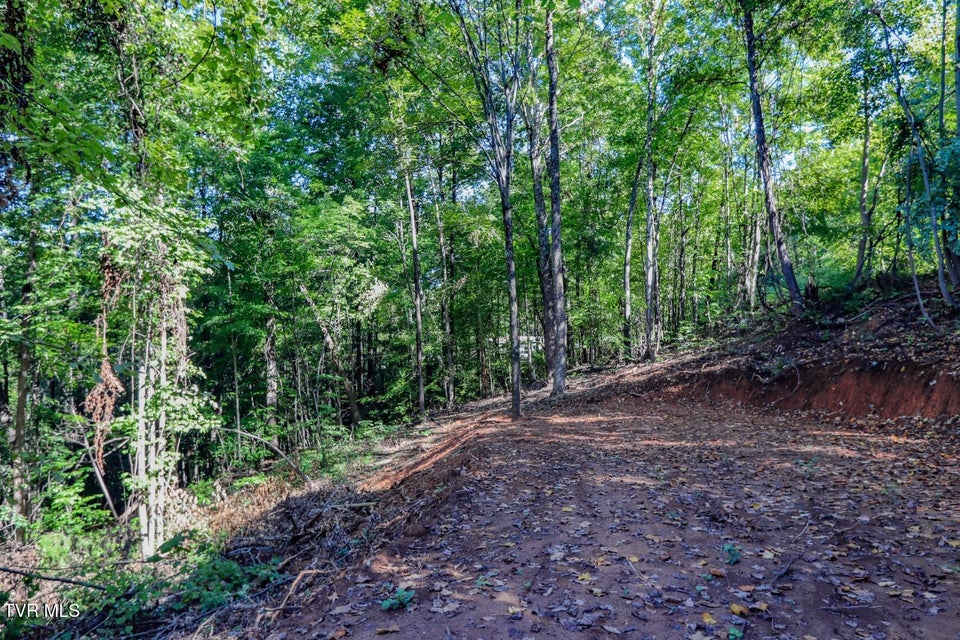 Photo #12: 1272 Applewood Dr 