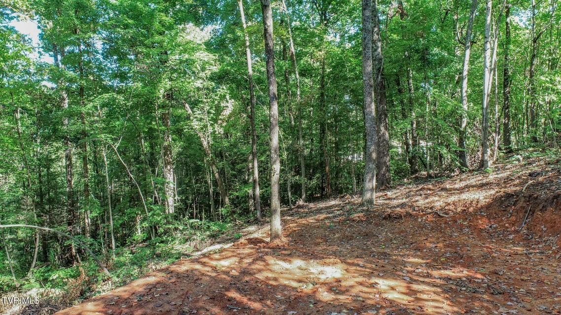 Photo #13: 1272 Applewood Dr 